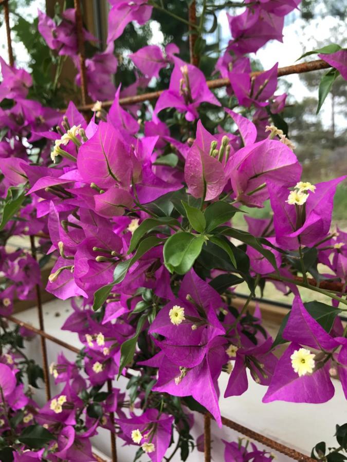 Stenhaella Bed&Breakfast Holmsjo ภายนอก รูปภาพ